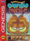 Garfield  - Caught in the Act Box Art Front
